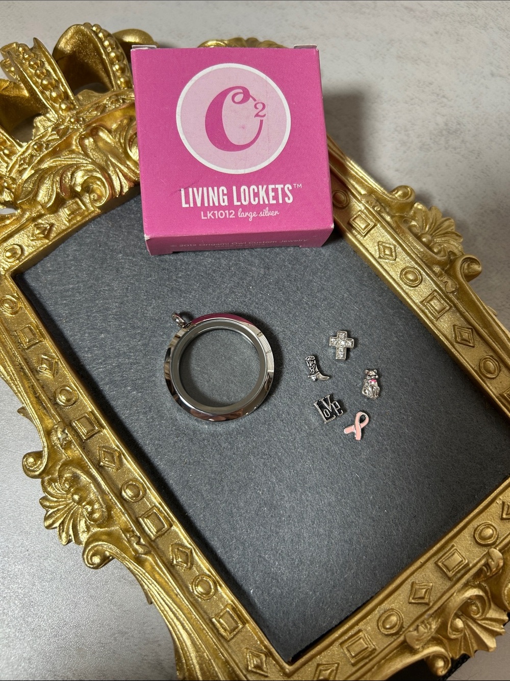 Origami Owl Silver Living Locket & 5 Charms